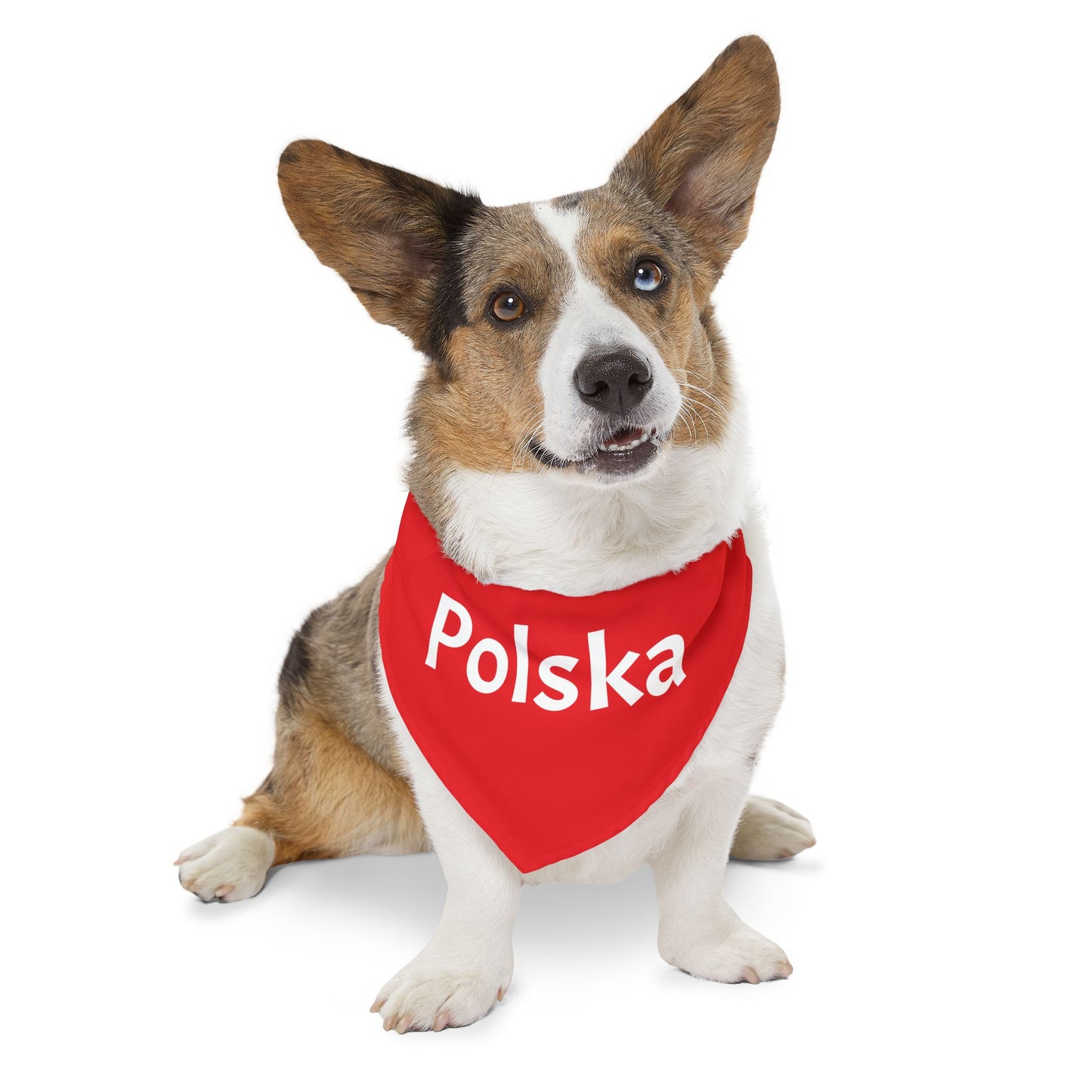 Polska Red Pet Bandana Collar – Polish Pride Dog & Cat Accessory