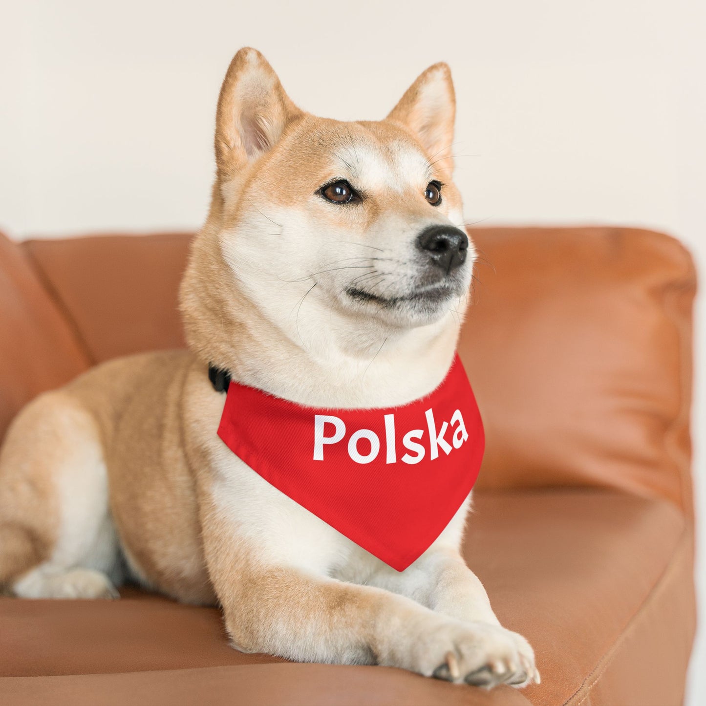 Polska Red Pet Bandana Collar – Polish Pride Dog & Cat Accessory