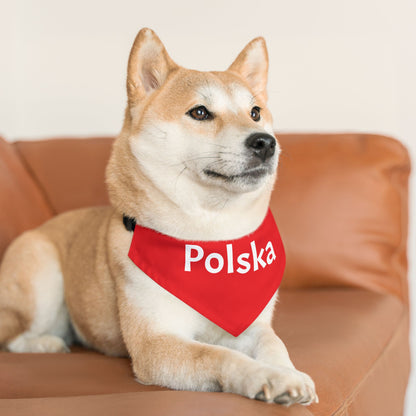 Polska Red Pet Bandana Collar – Polish Pride Dog & Cat Accessory
