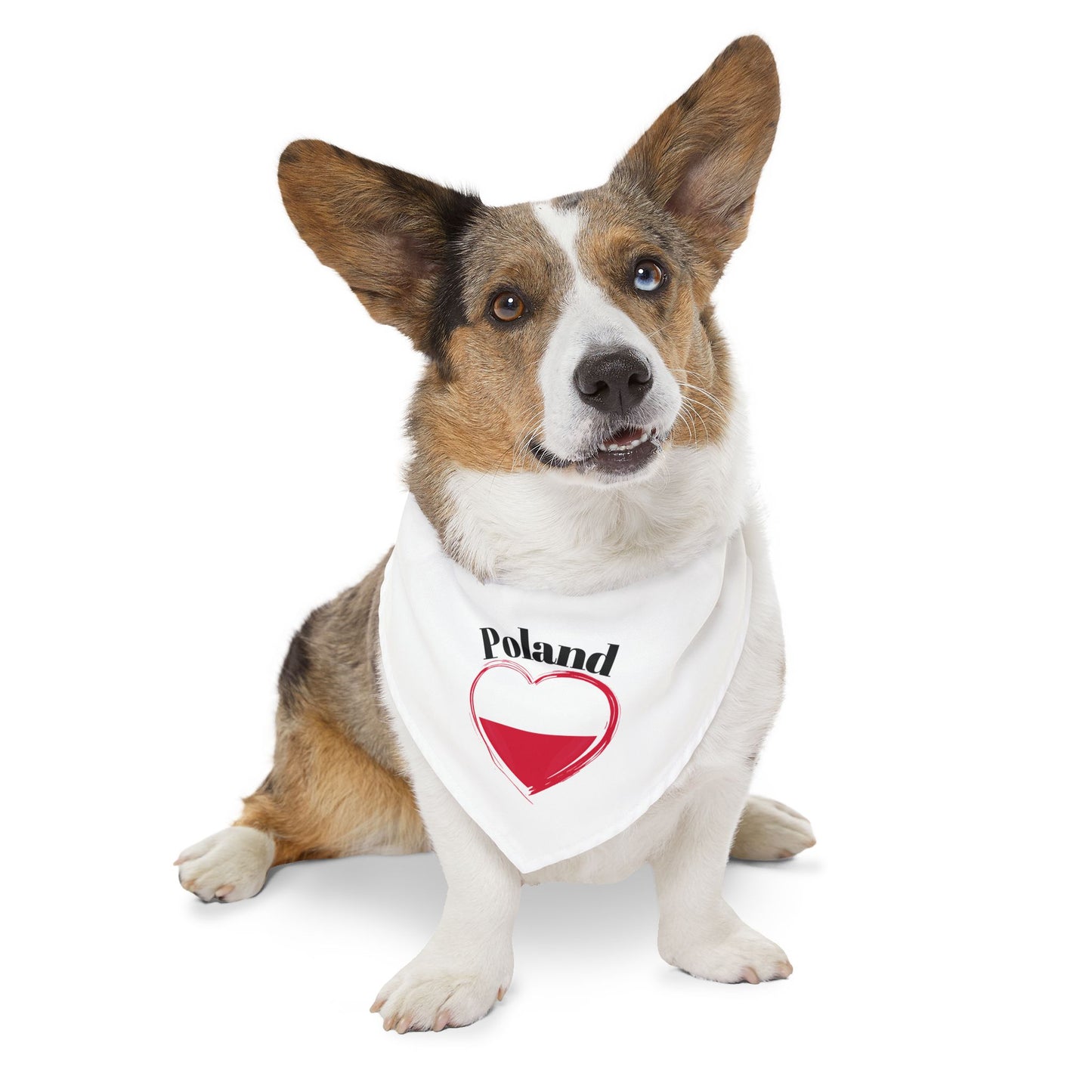 Poland Flag Heart Pet Bandana Collar – Polish Pride Dog & Cat Accessory