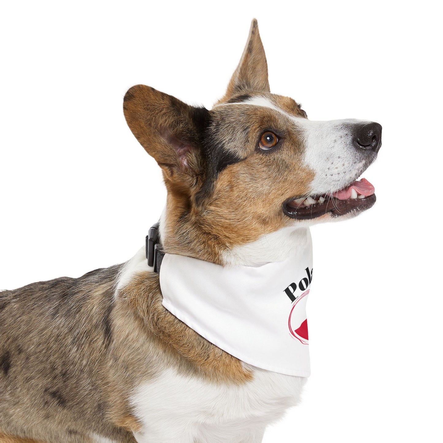 Poland Flag Heart Pet Bandana Collar – Polish Pride Dog & Cat Accessory