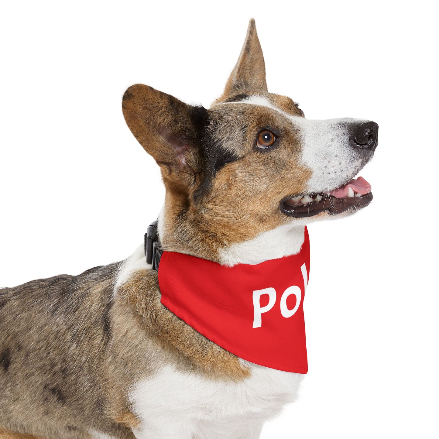 Polska Red Pet Bandana Collar – Polish Pride Dog & Cat Accessory