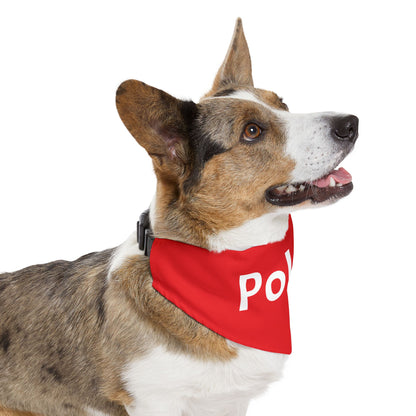 Polska Red Pet Bandana Collar – Polish Pride Dog & Cat Accessory