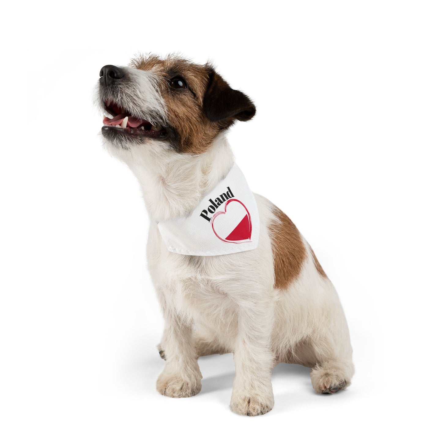 Poland Flag Heart Pet Bandana Collar – Polish Pride Dog & Cat Accessory