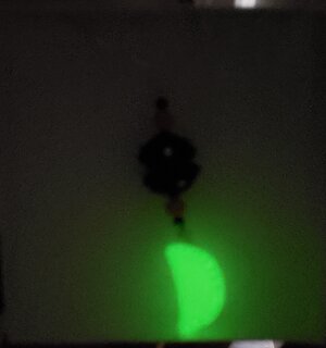glow in the dark pierogi necklace